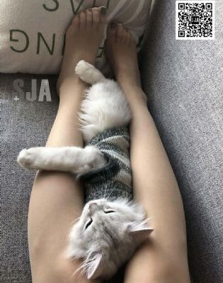 亚洲午夜精品一级毛片-神马不卡电影在线观看